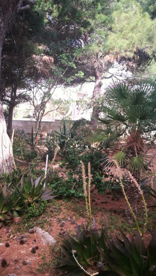 파뷔냐나도 Il Giardino Su Lido Burrone 아파트 외부 사진