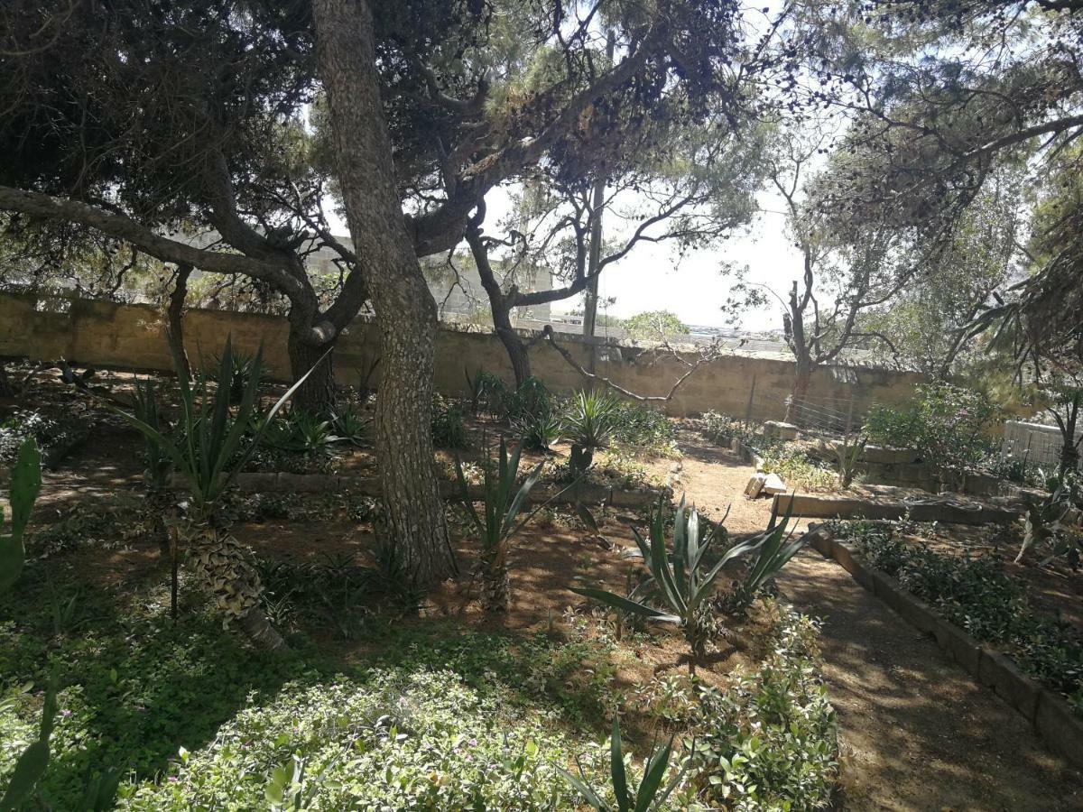 파뷔냐나도 Il Giardino Su Lido Burrone 아파트 외부 사진